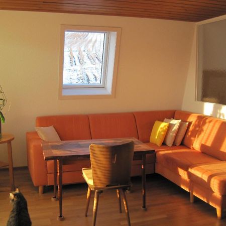 Appartamento Haus Am Weinberg Erzingen Esterno foto
