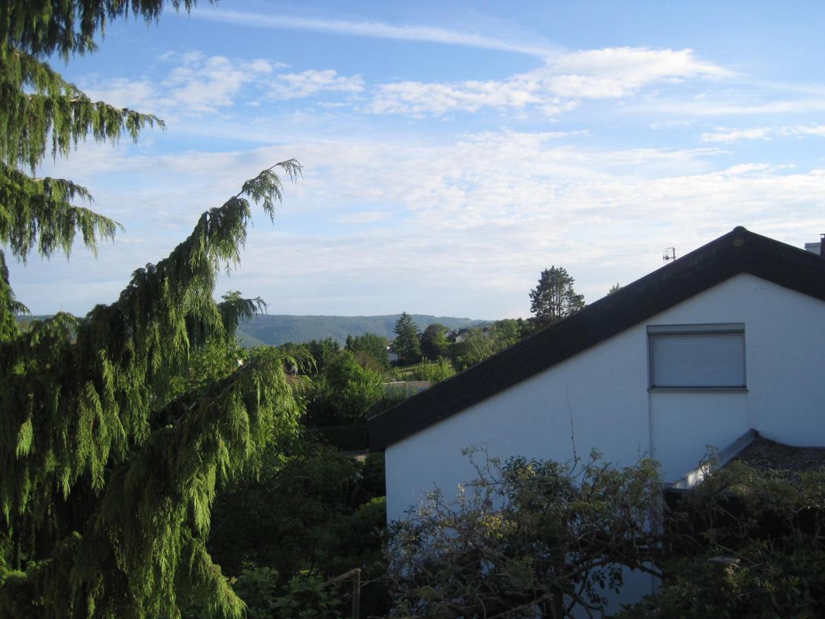Appartamento Haus Am Weinberg Erzingen Esterno foto