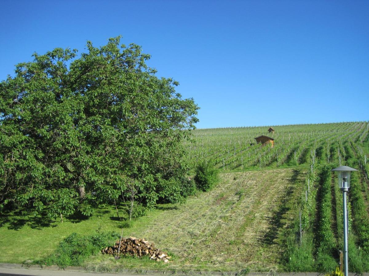 Appartamento Haus Am Weinberg Erzingen Esterno foto
