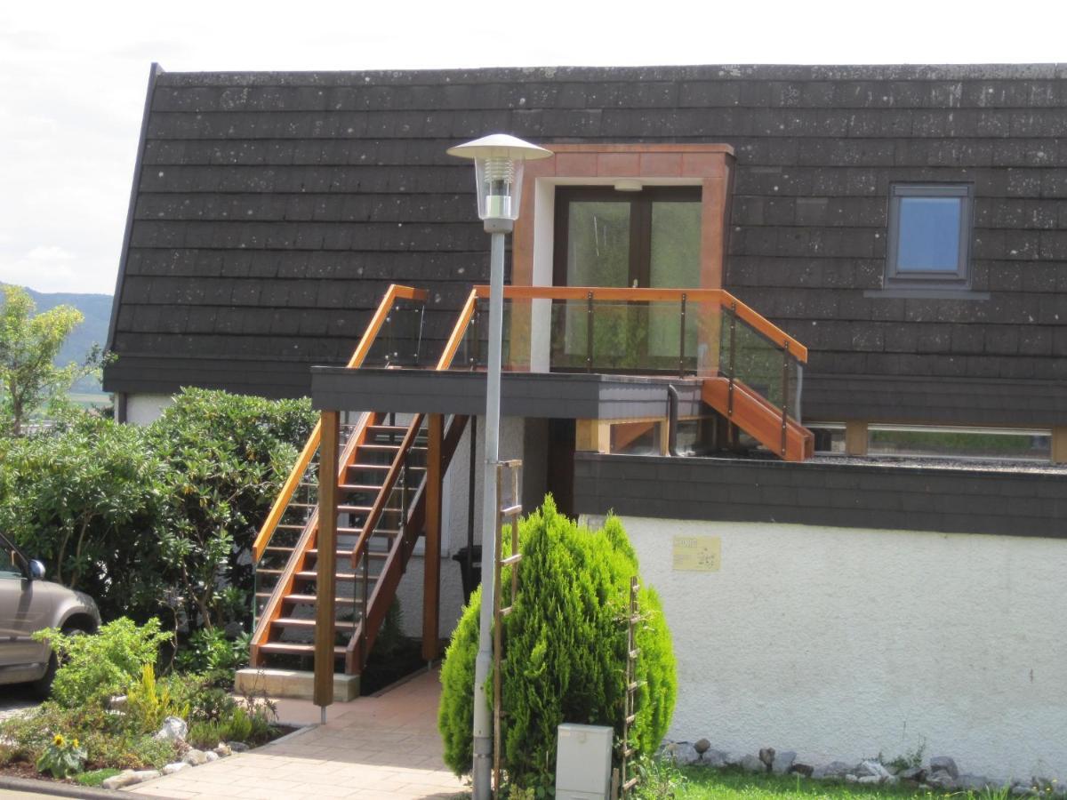 Appartamento Haus Am Weinberg Erzingen Esterno foto