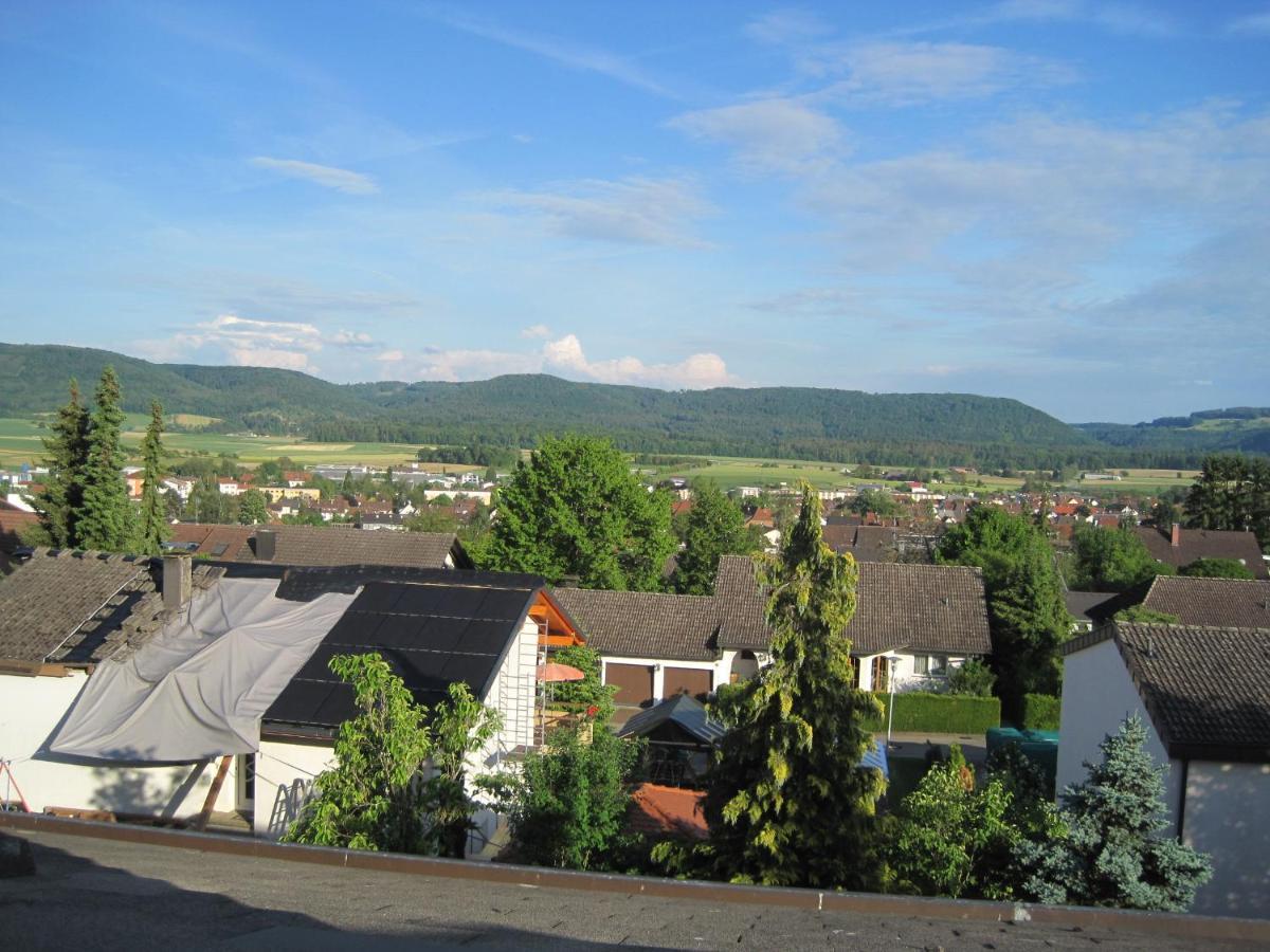 Appartamento Haus Am Weinberg Erzingen Esterno foto